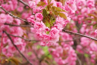 嘉兴南湖区8线下个人借款平台一站式服务，轻松解决资金难题