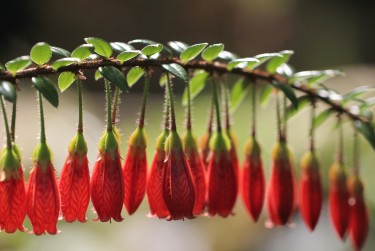 嘉兴南湖区8零用贷短借：轻松解决临时资金需求