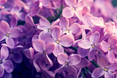 嘉兴南湖区8企业急用钱贷款攻略：快速融资解燃眉之急